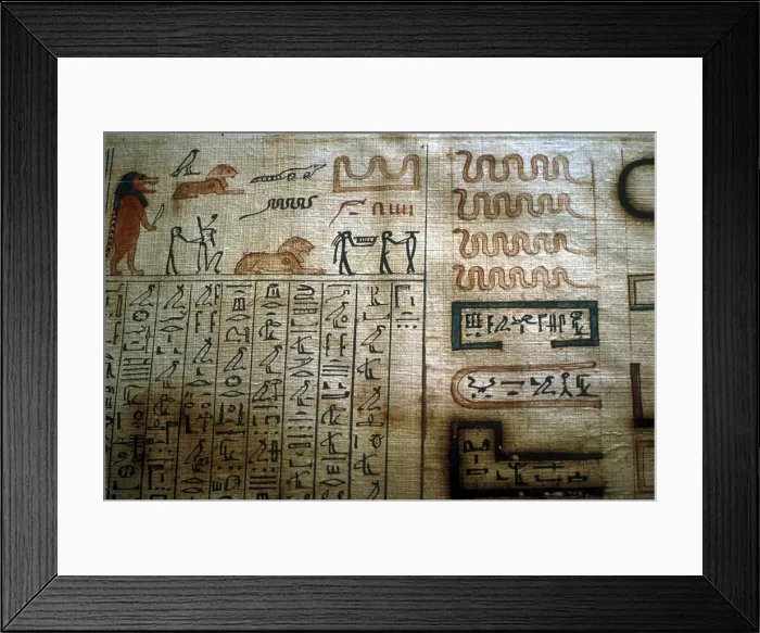Framed Print : Detail from a Book of the Dead papyrus, Egyptian Museum, Cairo Framed Print : Detail from a Book of the Dead papyrus, Egyptian Museum, Cairo