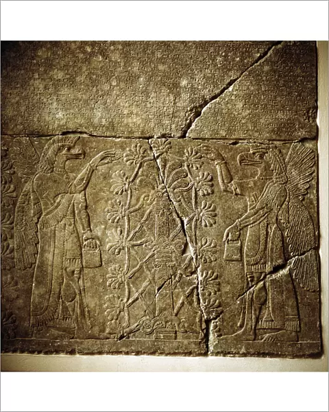 Assyrian relief of a Sacred tree flanked by two winged genies