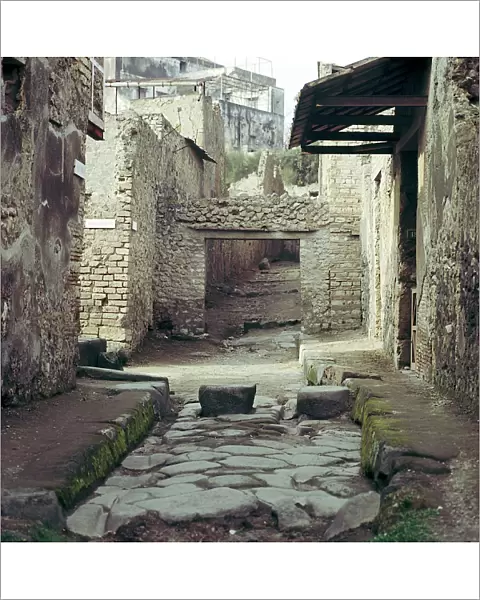 A street and houses, Pompeii, Italy