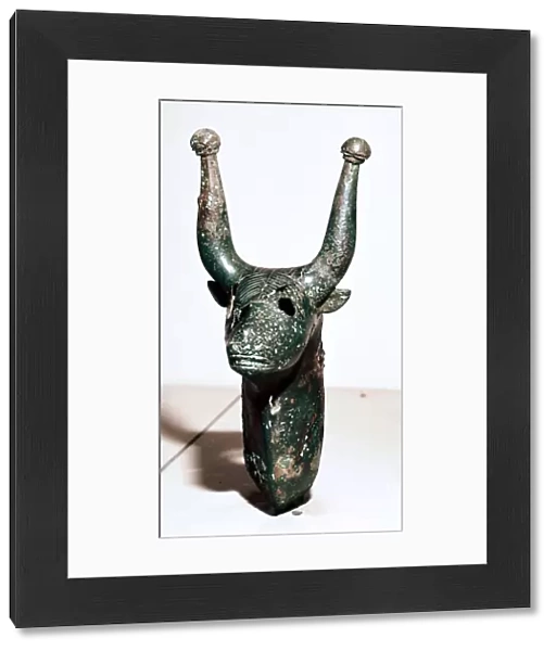 Bulls head with knobbed horns, Rynkeby Bog, Denmark, c4th century BC
