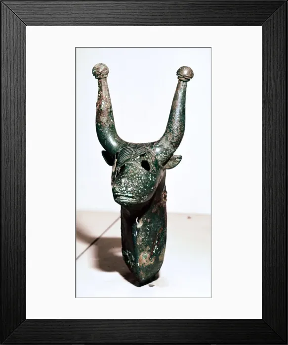 Framed Print : Bulls head with knobbed horns, Rynkeby Bog, Denmark, c4th century BC Framed Print : Bulls head with knobbed horns, Rynkeby Bog, Denmark, c4th century BC