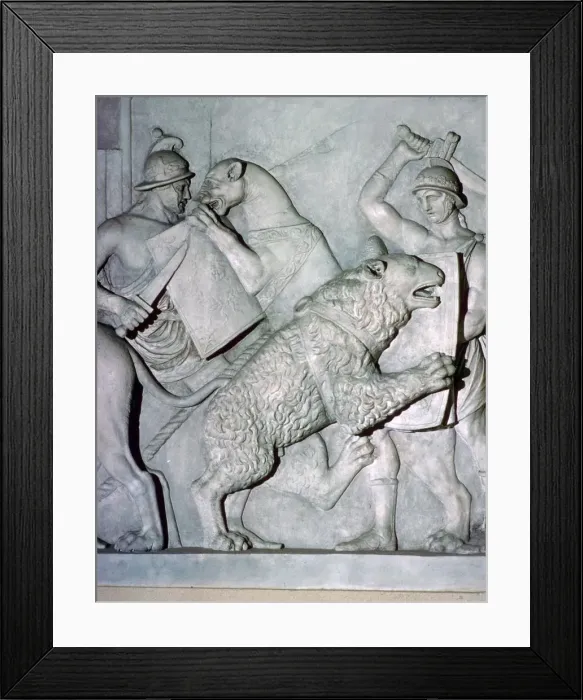 Framed Print : Roman relief of gladiators fighting wild beasts Framed Print : Roman relief of gladiators fighting wild beasts