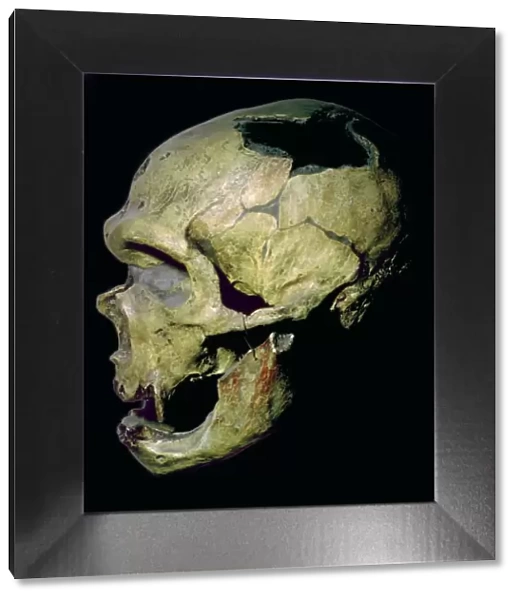 Neanderthal skull from France