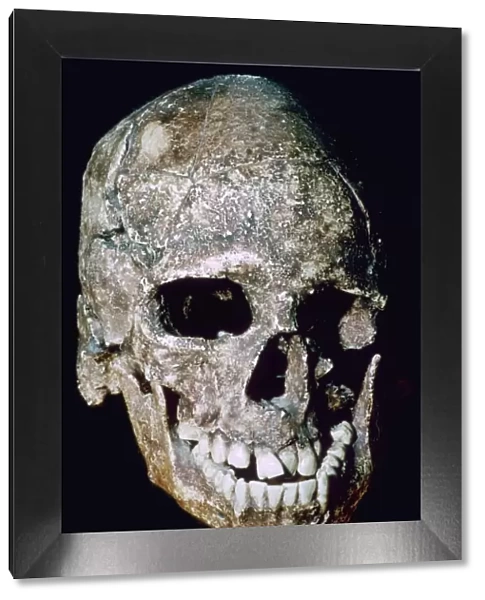 Paleolithic Skull of Grimaldi man, his species unknown