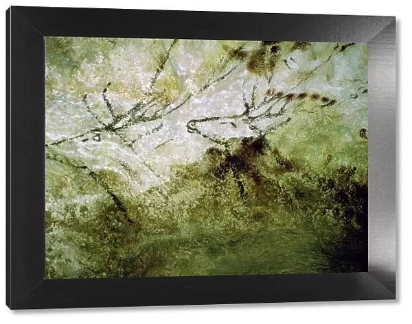 Cave-painting of swimming deer from Lascaux, c15000 BC