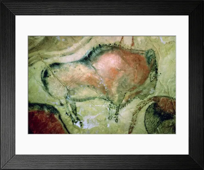 Framed Print : Paleolithic cave-painting of Bison from Spain Framed Print : Paleolithic cave-painting of Bison from Spain