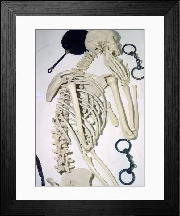 Framed Print : Iron Age British Female Chariot Burial Framed Print : Iron Age British Female Chariot Burial