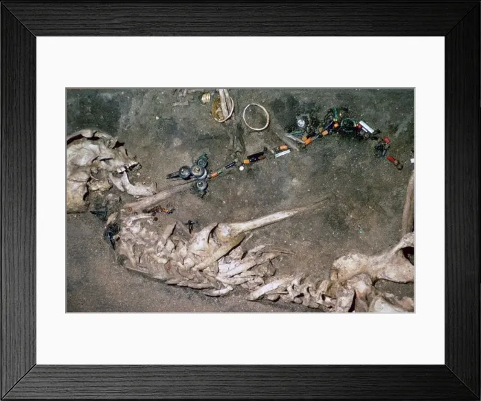 Framed Print : An Iron Age womans grave from Denmark, 3rd century BC Framed Print : An Iron Age womans grave from Denmark, 3rd century BC