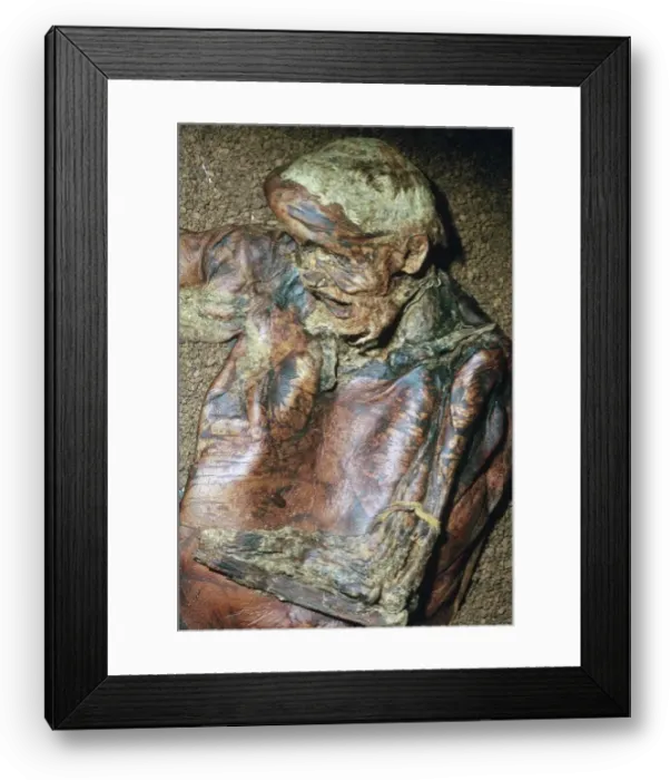 Framed Print : Lindow Man, found in a peat moss bog in Ireland, c2nd century BC Framed Print : Lindow Man, found in a peat moss bog in Ireland, c2nd century BC