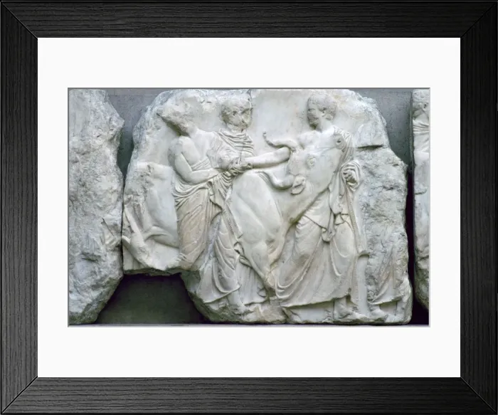 Framed Print : Part of the Elgin Marbles from the Parthenon, 5th century BC Framed Print : Part of the Elgin Marbles from the Parthenon, 5th century BC