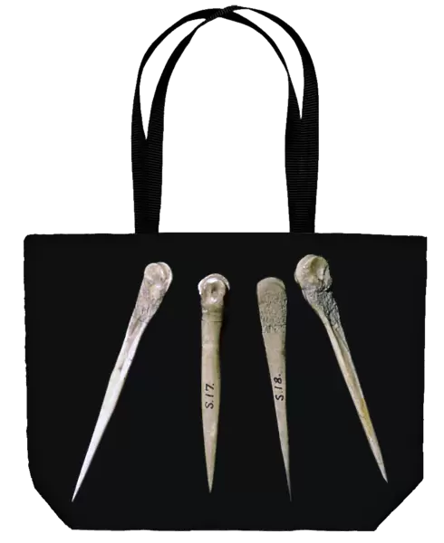 Neolithic bone pins