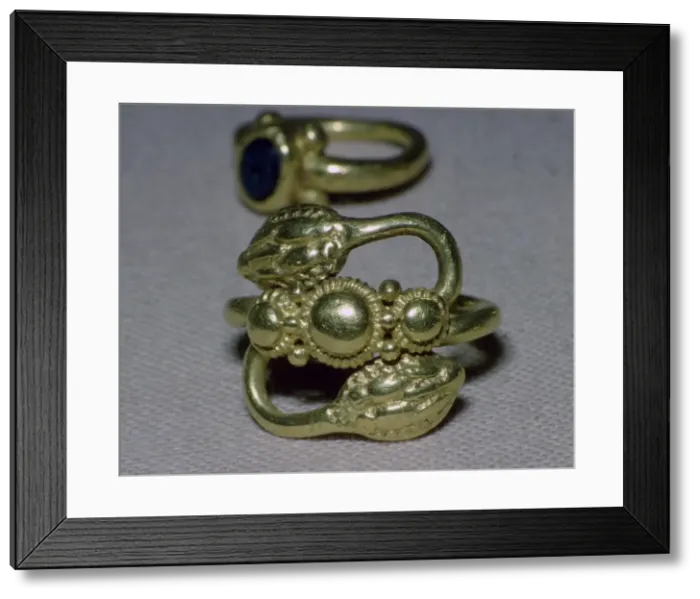 Framed Print : Roman gold ring from the Backworth treasure Framed Print : Roman gold ring from the Backworth treasure
