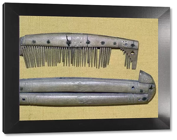 Viking period bone and ivory comb and case