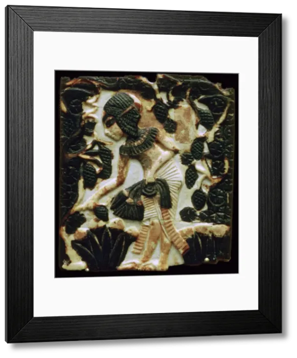 Framed Print : Egyptian faience tile Framed Print : Egyptian faience tile