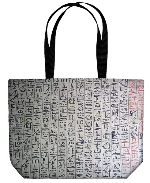 Cursive hieroglyphic script from a book of the dead
