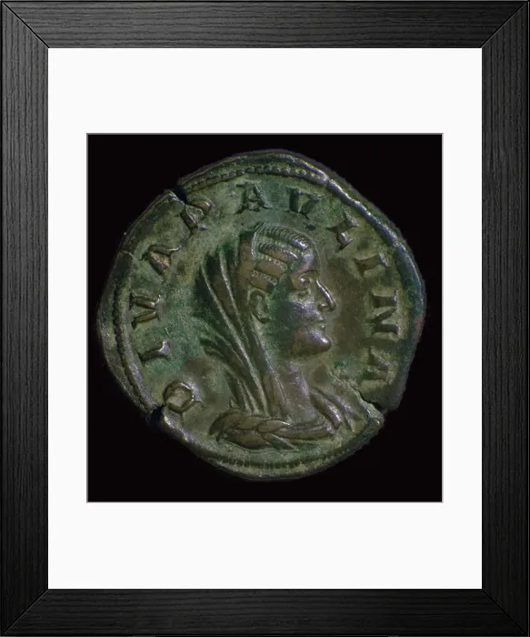 Framed Print : A bronze coin of Paulina, the mother of Emperor Hadrian, 1st century Framed Print : A bronze coin of Paulina, the mother of Emperor Hadrian, 1st century