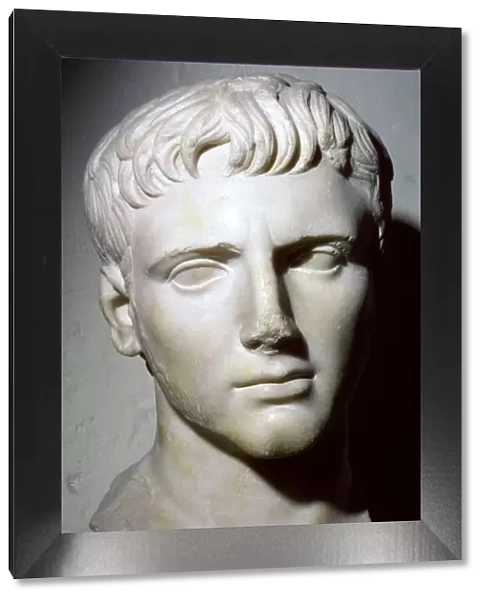 Bust of Octavian  /  Augustus
