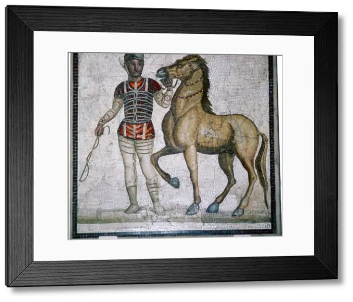 Framed Print : Roman mosaic of a charioteer with horse Framed Print : Roman mosaic of a charioteer with horse
