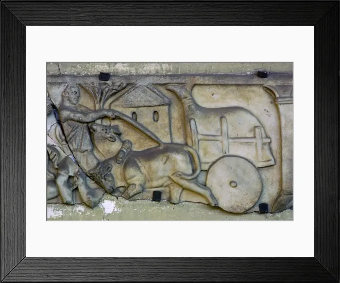 Framed Print : Roman funerary relief, showing an ox-cart Framed Print : Roman funerary relief, showing an ox-cart