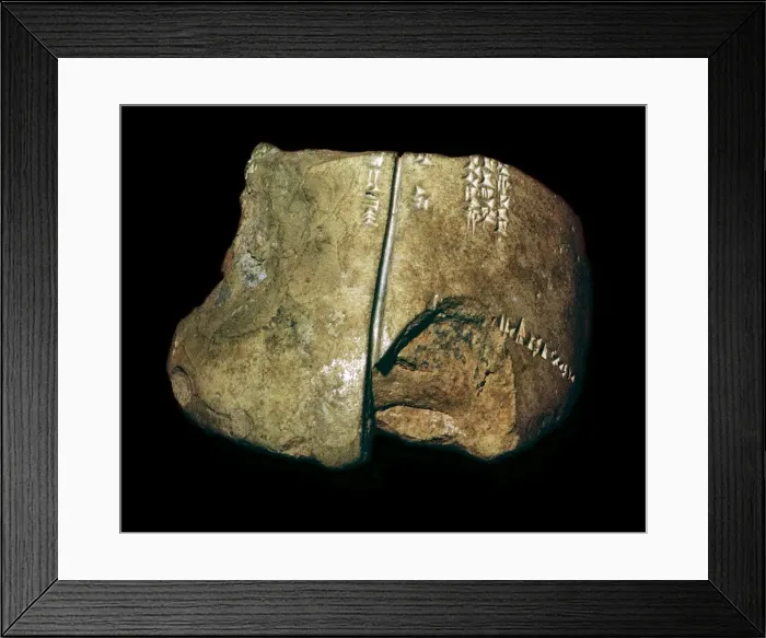 Framed Print : Babylonian clay model of a sheeps lung Framed Print : Babylonian clay model of a sheeps lung