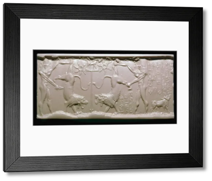 Framed Print : Akkadian cylinder-seal impression of a hero fighting a lion