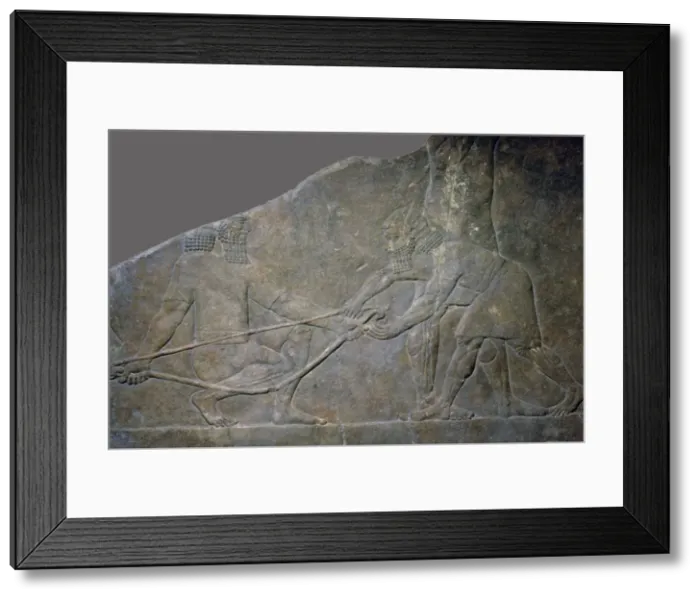 Framed Print : Stone panel from the North Palace of Ashurbanipal, Nineveh, northern Iraq, Neo-Assyrian, c645 BC Framed Print : Stone panel from the North Palace of Ashurbanipal, Nineveh, northern Iraq, Neo-Assyrian, c645 BC