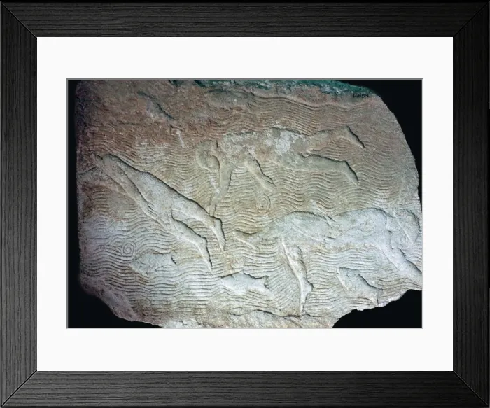 Framed Print : Assyrian relief of swimmers Framed Print : Assyrian relief of swimmers