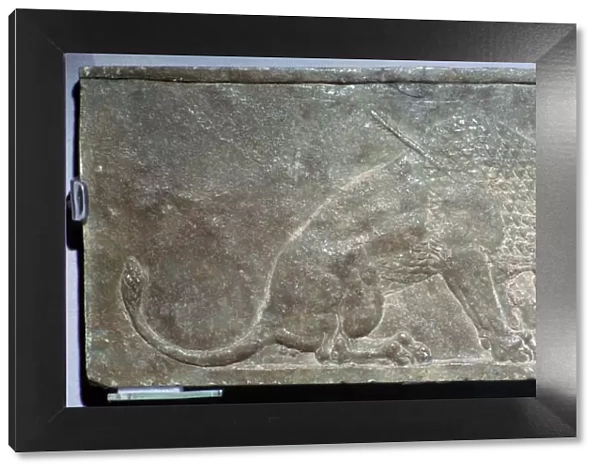 The Dying Lion, a stone panel from Nineveh, northern Iraq, Neo-Assyrian, c645 BC