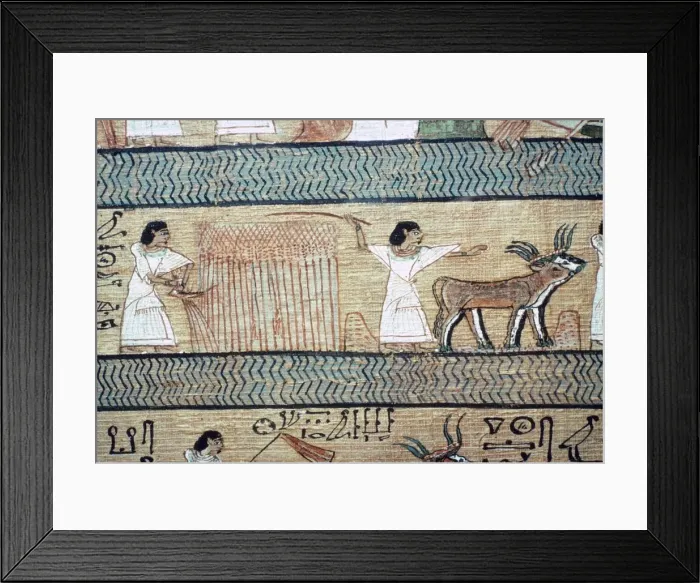 Framed Print : Detail from the Book of the Dead showing the Elysian Fields