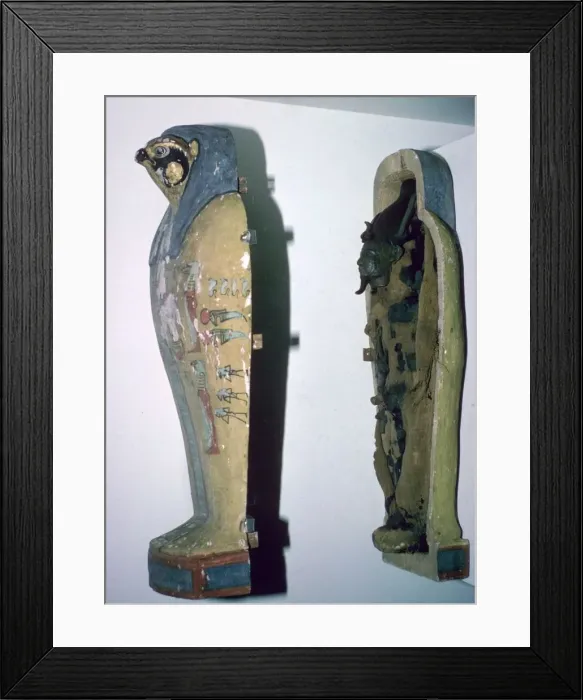 Framed Print : Egyptian small falcon-headed wooden coffin Framed Print : Egyptian small falcon-headed wooden coffin