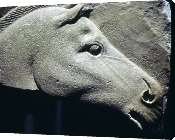 Egyptian relief of a horses head