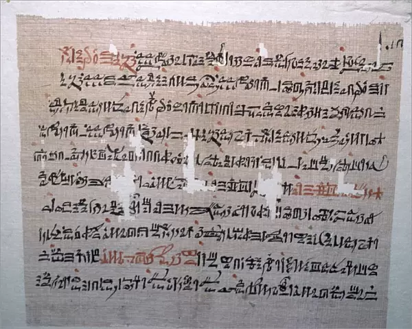 Egyptian hieratic script