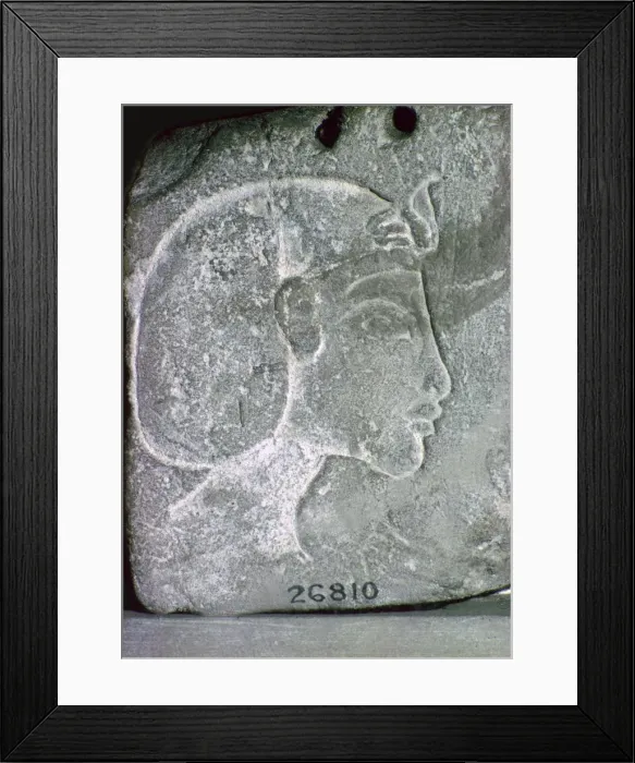 Framed Print : Relief showing the head of Akhenaten, 14th century BC Framed Print : Relief showing the head of Akhenaten, 14th century BC