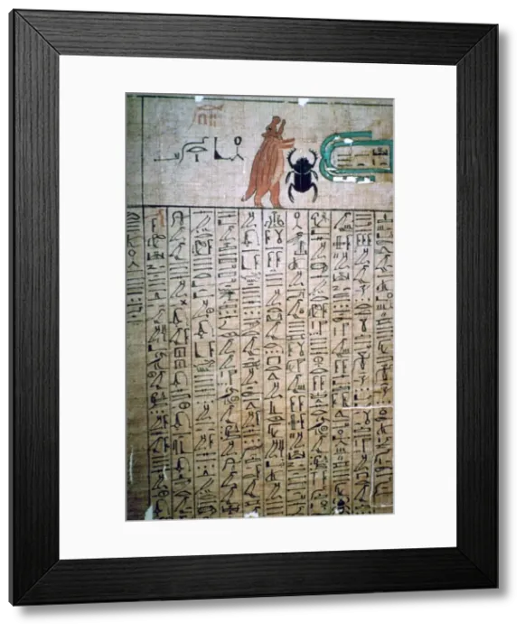 Framed Print : Egyptian hieroglyphs from a Book of the Dead Framed Print : Egyptian hieroglyphs from a Book of the Dead