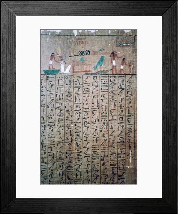 Framed Print : Egyptian hieroglyphs from a Book of the Dead Framed Print : Egyptian hieroglyphs from a Book of the Dead