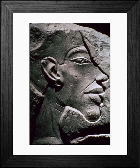 Framed Print : Relief showing the head of Akhenaten, 14th century BC Framed Print : Relief showing the head of Akhenaten, 14th century BC