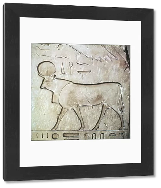 Egyptian relief of the bull-god Apis