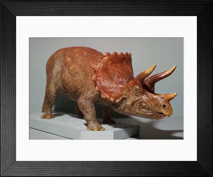 Framed Print : Triceratops model Framed Print : Triceratops model