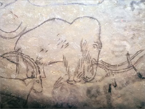 Neolithic cave-painting of mammoth and ibexes