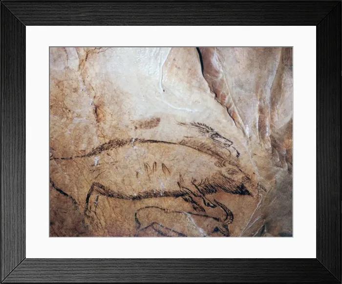 Framed Print : Paleolithic cave-painting of a bison and ibex Framed Print : Paleolithic cave-painting of a bison and ibex