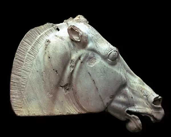 Horse of Selene from the Parthenon
