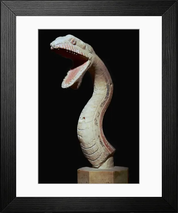 Framed Print : Greek polychrome head of a serpent, c. 6th century BC Framed Print : Greek polychrome head of a serpent, c. 6th century BC