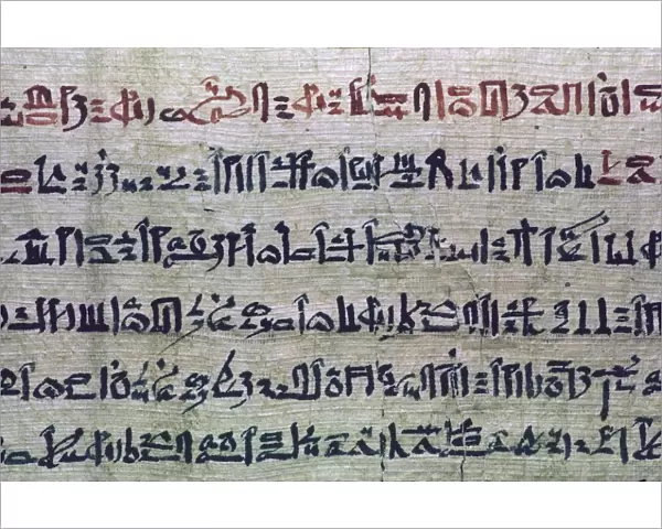 Hieratic Egyptian script from the Book of the Dead