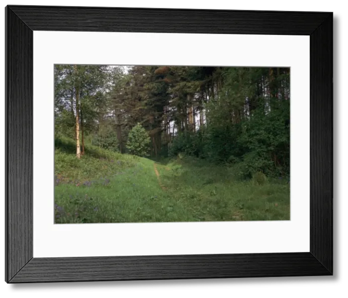 Framed Print : Track of a Roman road