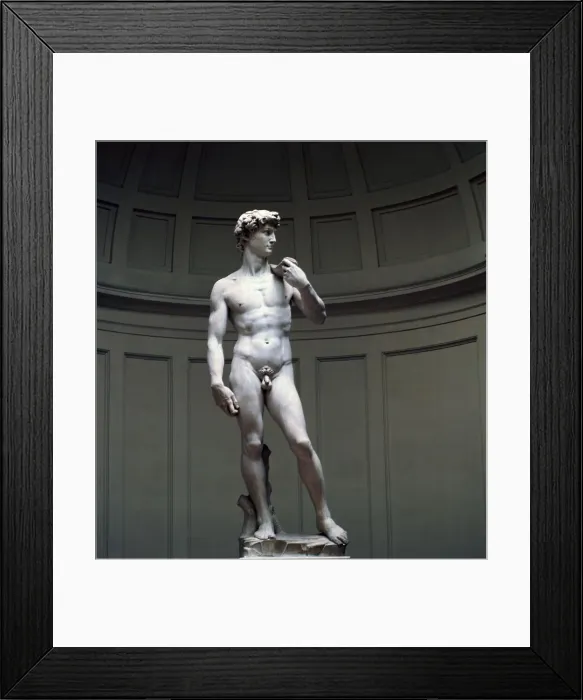 Framed Print : Michelangelos David, 16th century. Artist: Michelangelo Buonarroti Framed Print : Michelangelos David, 16th century. Artist: Michelangelo Buonarroti
