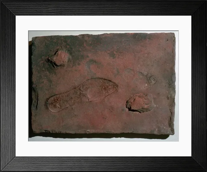 Framed Print : Roman tile with a human footprint, 3rd century Framed Print : Roman tile with a human footprint, 3rd century