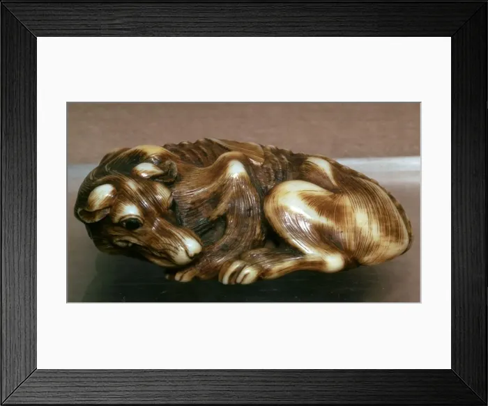 Framed Print : Japanese Netsuke of a dog, 19th century Framed Print : Japanese Netsuke of a dog, 19th century