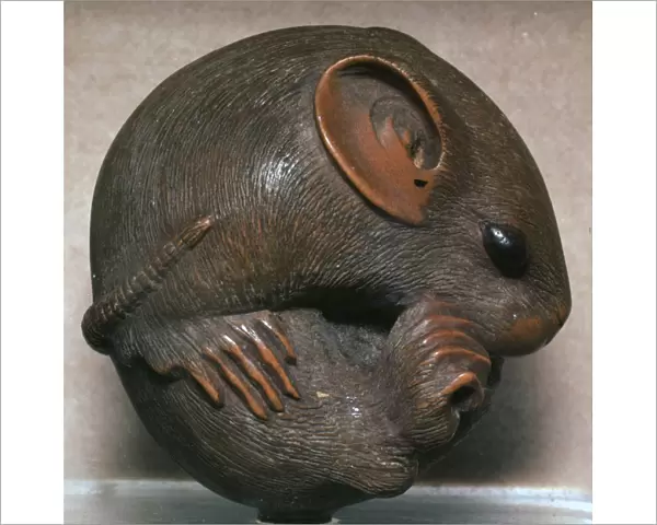 Japanese Netsuke of a rat, 19th century