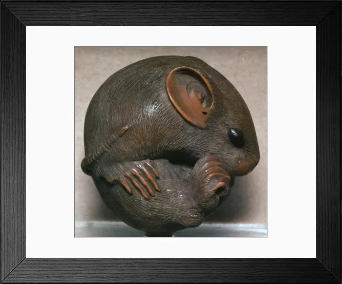 Framed Print : Japanese Netsuke of a rat, 19th century Framed Print : Japanese Netsuke of a rat, 19th century
