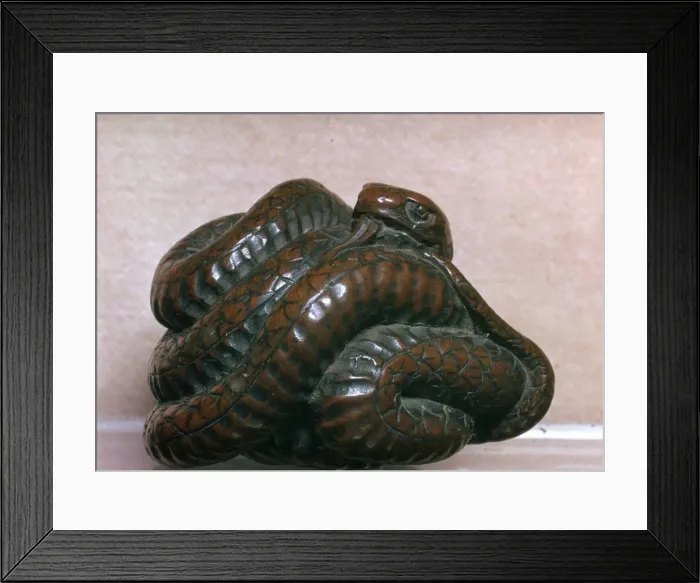 Framed Print : Japanese Netsuke of a snake, 19th century Framed Print : Japanese Netsuke of a snake, 19th century